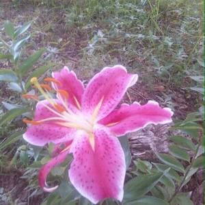 Meet your Posher, Joanna